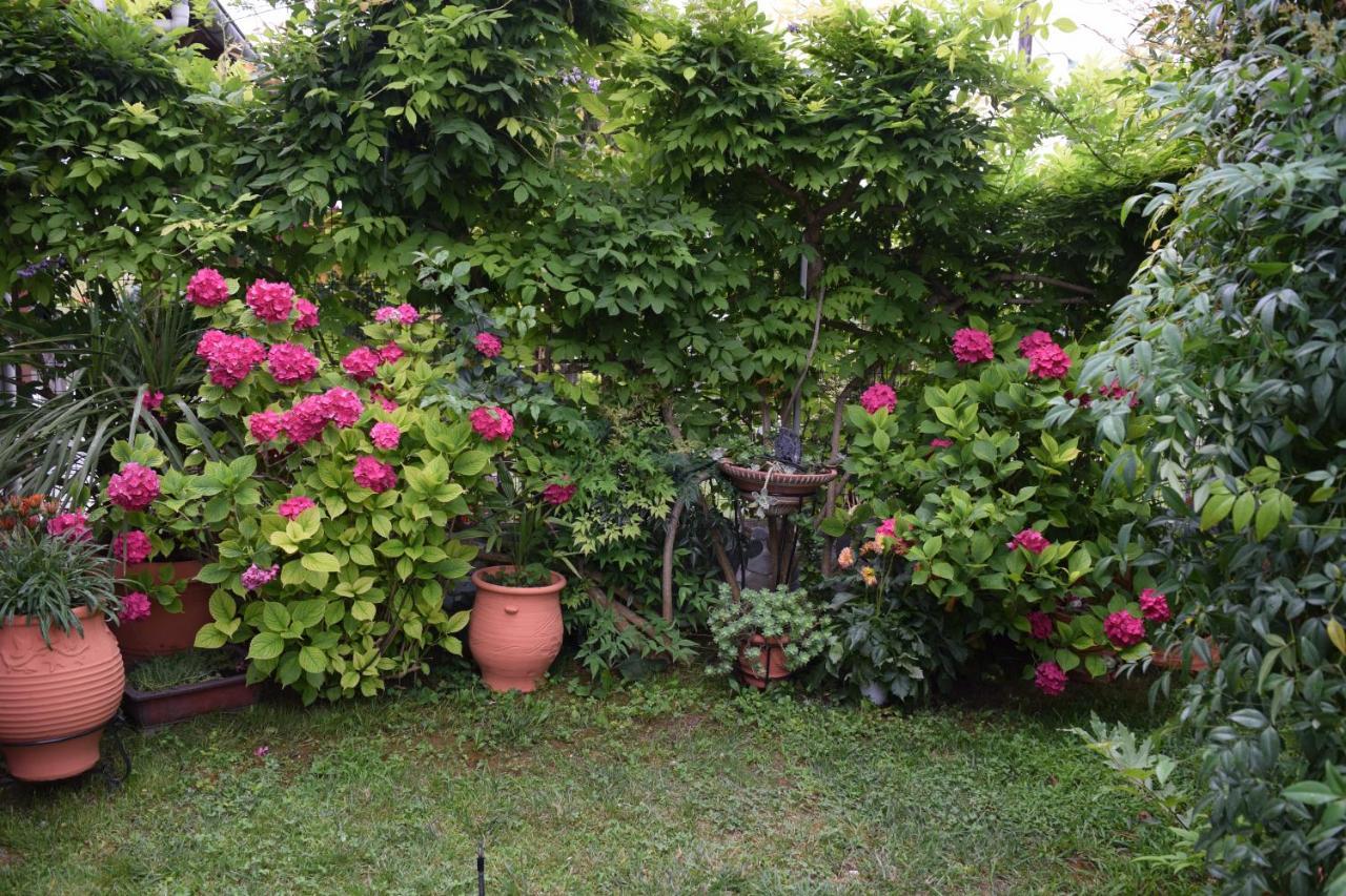 Garden'S Villa Leptokarya  Exterior photo